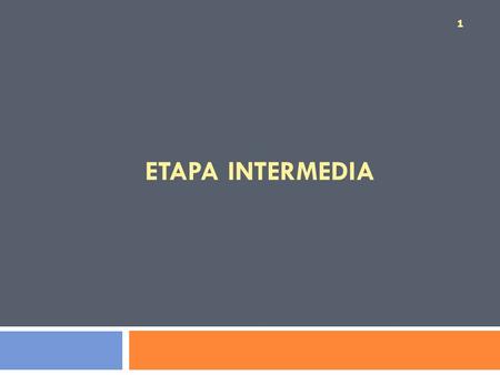 ETAPA INTERMEDIA.