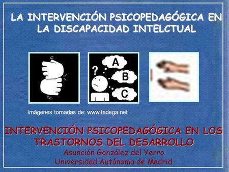 LA INTERVENCIÓN PSICOPEDAGÓGICA EN LA DISCAPACIDAD INTELCTUAL