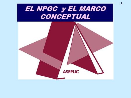 EL NPGC y EL MARCO CONCEPTUAL