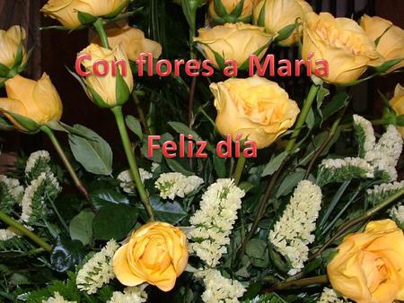 Con flores a María Feliz día