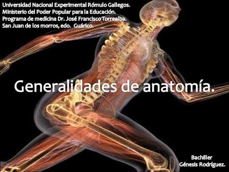 Generalidades de anatomía.