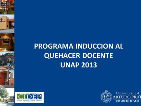PROGRAMA INDUCCION AL QUEHACER DOCENTE UNAP 2013.