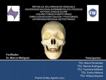 Facilitador: Dr. Marcos Matiguan Participantes: TSU. Alexis Fernández