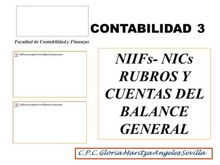 NIIFs- NICs RUBROS Y CUENTAS DEL BALANCE GENERAL