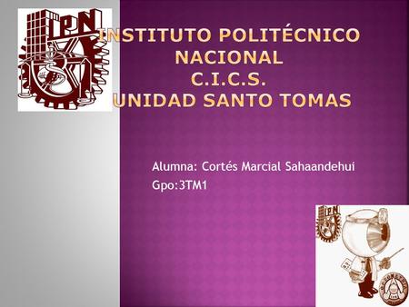 Instituto Politécnico Nacional C.I.C.S. Unidad Santo Tomas