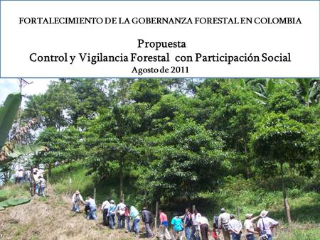 FORTALECIMIENTO DE LA GOBERNANZA FORESTAL EN COLOMBIA Propuesta Control y Vigilancia Forestal con Participación Social Agosto de 2011.
