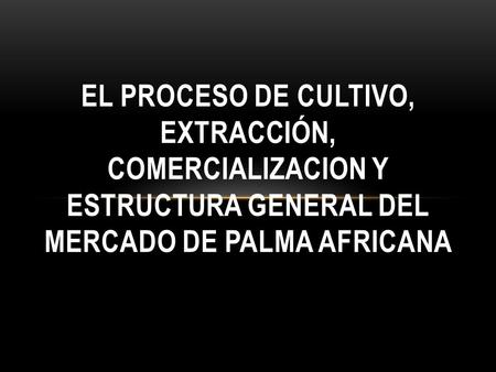 EL PROCESO DE CULTIVO, EXTRACCIÓN, COMERCIALIZACION Y ESTRUCTURA GENERAL DEL MERCADO DE PALMA AFRICANA.