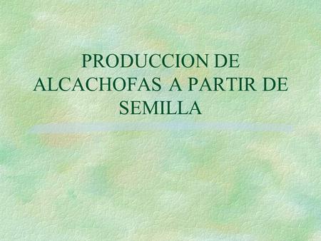 PRODUCCION DE ALCACHOFAS A PARTIR DE SEMILLA
