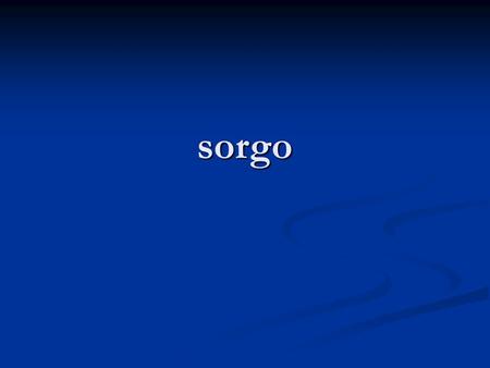 Sorgo.