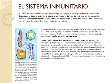 EL SISTEMA INMUNITARIO