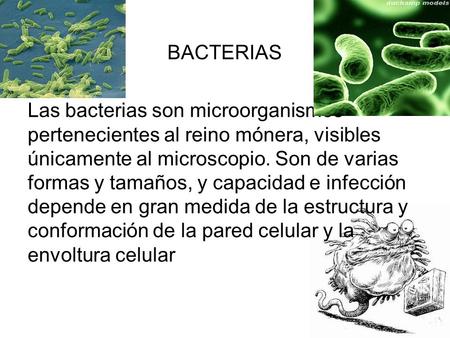 BACTERIAS Las bacterias son microorganismos pertenecientes al reino mónera, visibles únicamente al microscopio. Son de varias formas y tamaños, y capacidad.