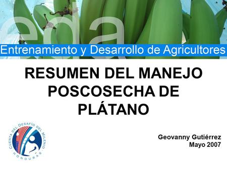 Cosecha y Manejo Postcosecha del Cultivo del Plátano