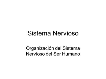 Organización del Sistema Nervioso del Ser Humano