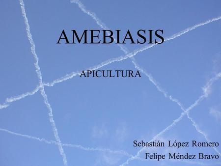 APICULTURA Sebastián López Romero Felipe Méndez Bravo
