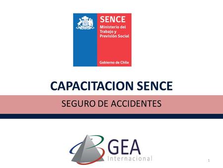 CAPACITACION SENCE SEGURO DE ACCIDENTES.