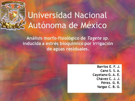Universidad Nacional Autónoma de México Análisis morfo-fisiológico de Tagete sp. inducida a estrés bioquímico por irrigación de aguas residuales. Barrios.