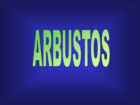 ARBUSTOS.