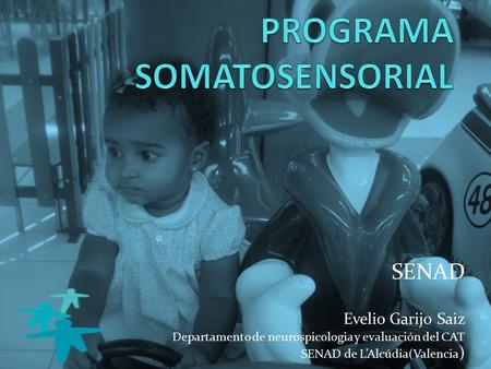 PROGRAMA SOMATOSENSORIAL