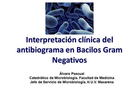 Interpretación clínica del antibiograma en Bacilos Gram Negativos