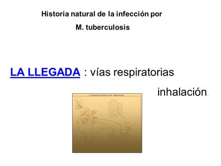 Historia natural de la infección por