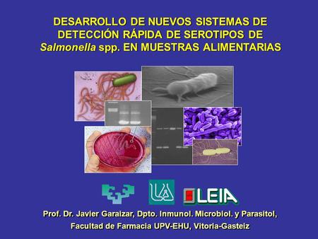 DESARROLLO DE NUEVOS SISTEMAS DE DETECCIÓN RÁPIDA DE SEROTIPOS DE Salmonella spp. EN MUESTRAS ALIMENTARIAS Prof. Dr. Javier Garaizar, Dpto. Inmunol. Microbiol.
