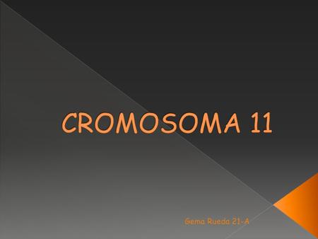 CROMOSOMA 11 Gema Rueda 21-A.