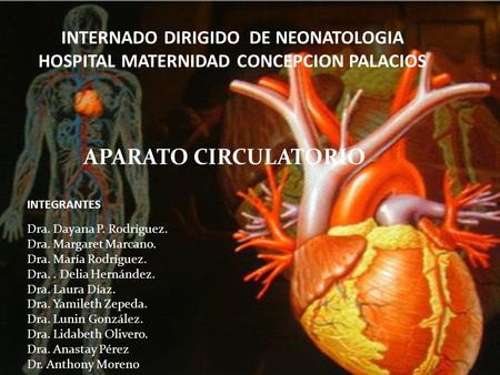 APARATO CIRCULATORIO INTERNADO DIRIGIDO DE NEONATOLOGIA