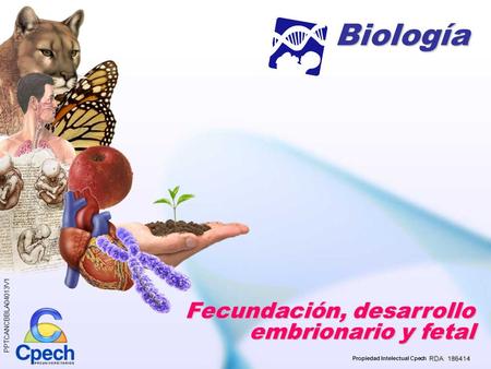 Biología Fecundación, desarrollo embrionario y fetal