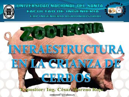 INFRAESTRUCTURA EN LA CRIANZA DE CERDOS