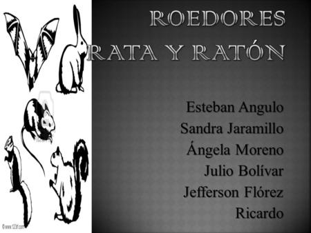 Roedores Rata Y Ratón Esteban Angulo Sandra Jaramillo Ángela Moreno