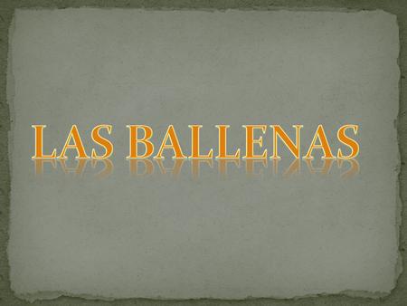 LAS BALLENAS.