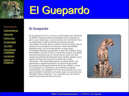 ©2007 David Fernández-Pedrera | 1º ESO-A | El Guepardo