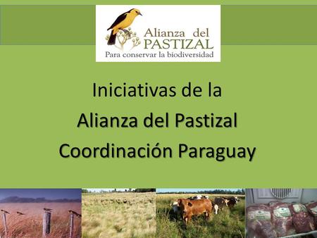 Iniciativas de la Alianza del Pastizal Coordinación Paraguay.