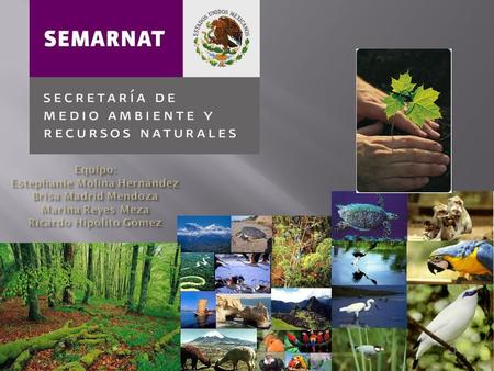 Conoce la SEMARNAT  La Secretaría de Medio Ambiente y Recursos Naturales (SEMARNAT) es la dependencia de gobierno que tiene como propósito fundamental.