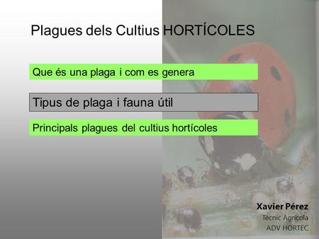 Plagues dels Cultius HORTÍCOLES