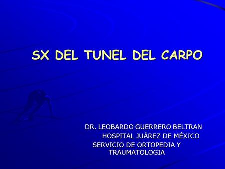 SX DEL TUNEL DEL CARPO DR. LEOBARDO GUERRERO BELTRAN