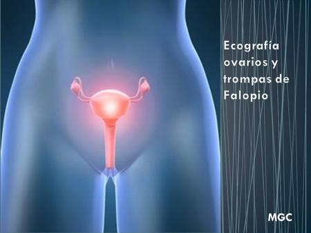 Ecografía ovarios y trompas de Falopio