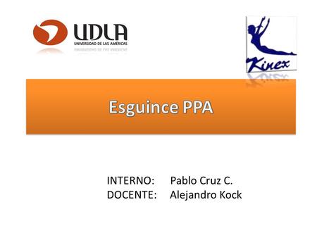INTERNO: Pablo Cruz C. DOCENTE: Alejandro Kock