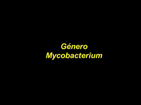 Género Mycobacterium.