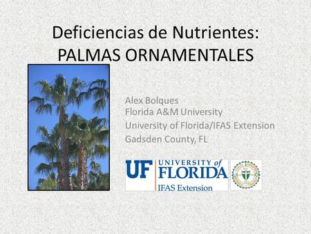 Deficiencias de Nutrientes: PALMAS ORNAMENTALES