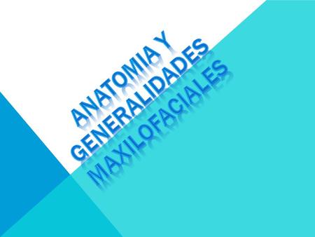 ANATOMIA Y GENERALIDADES MAXILOFACIALES