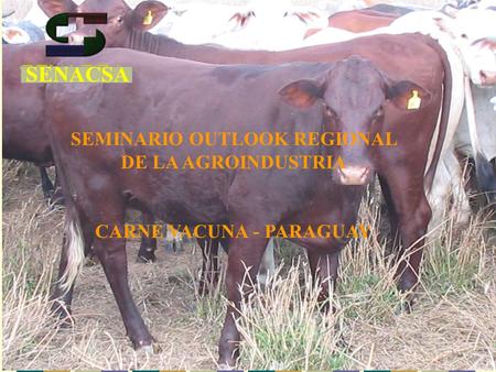 SENACSA SEMINARIO OUTLOOK REGIONAL DE LA AGROINDUSTRIA CARNE VACUNA - PARAGUAY.