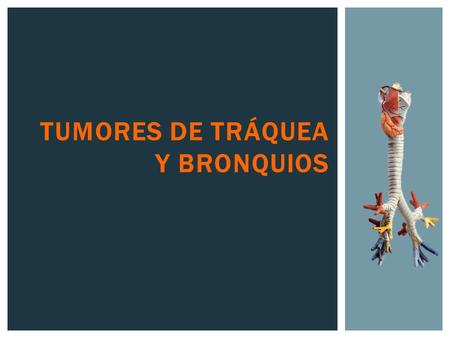 TUMORES DE TRÁQUEA Y BRONQUIOS