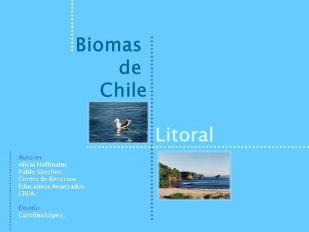 Biomas de Chile Litoral Autores Alicia Hoffmann. Pablo Sánchez.