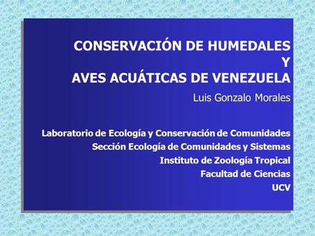 CONSERVACIÓN DE HUMEDALES Y AVES ACUÁTICAS DE VENEZUELA