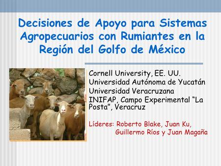 Decisiones de Apoyo para Sistemas Agropecuarios con Rumiantes en la Región del Golfo de México Cornell University, EE. UU. Universidad Autónoma de Yucatán.