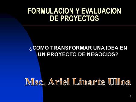 FORMULACION Y EVALUACION DE PROYECTOS
