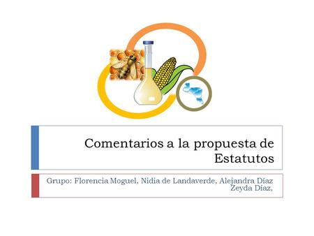 Comentarios a la propuesta de Estatutos Grupo: Florencia Moguel, Nidia de Landaverde, Alejandra Díaz Zeyda Díaz,