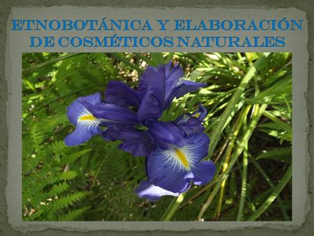 Etnobotánica y elaboración de cosméticos naturales