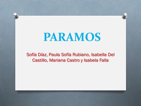 PARAMOS Sofía Díaz, Paula Sofía Rubiano, Isabella Del Castillo, Mariana Castro y Isabela Falla.